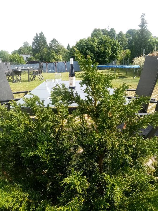 Apartmany Kohoutek A Slepicka V Novohradskych Horach Nove Hrady  Exterior photo